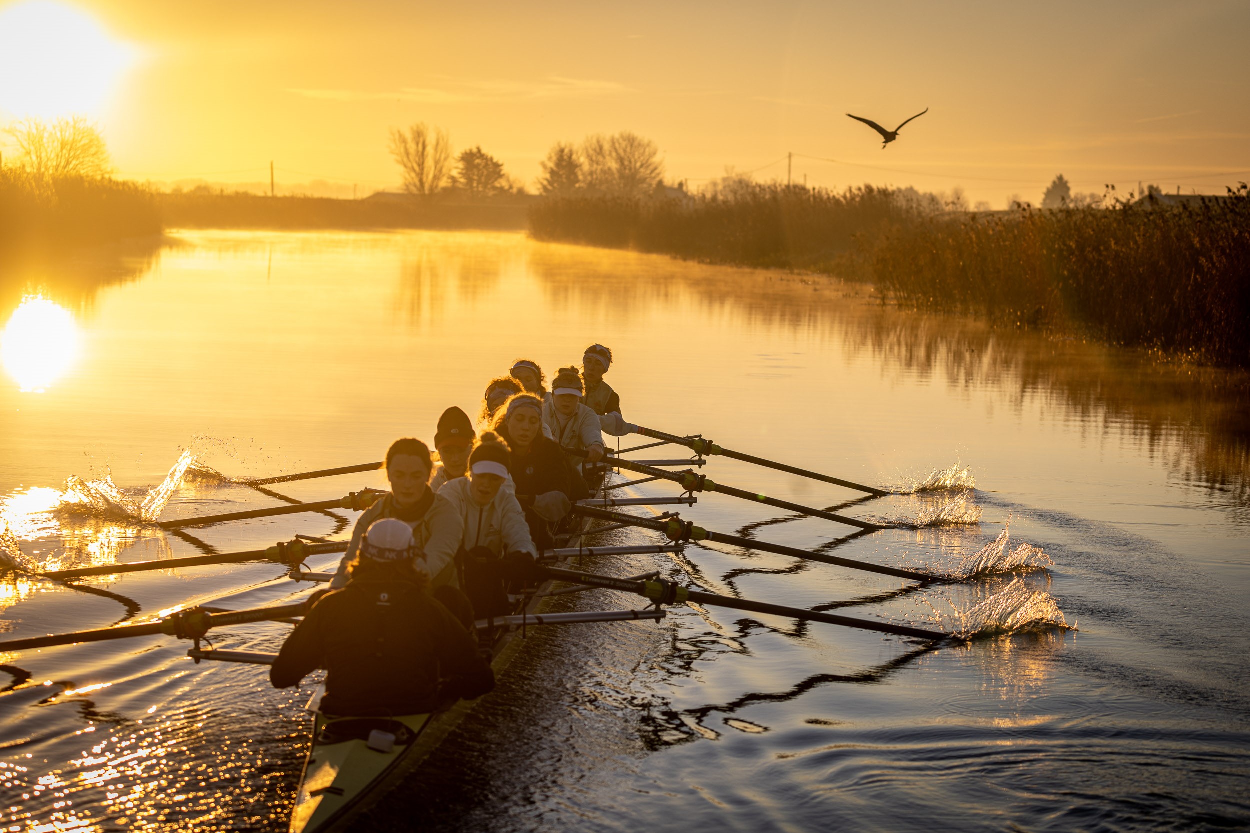 An eight-crew rowing boat with cox rowing on a still river into a low sunshine