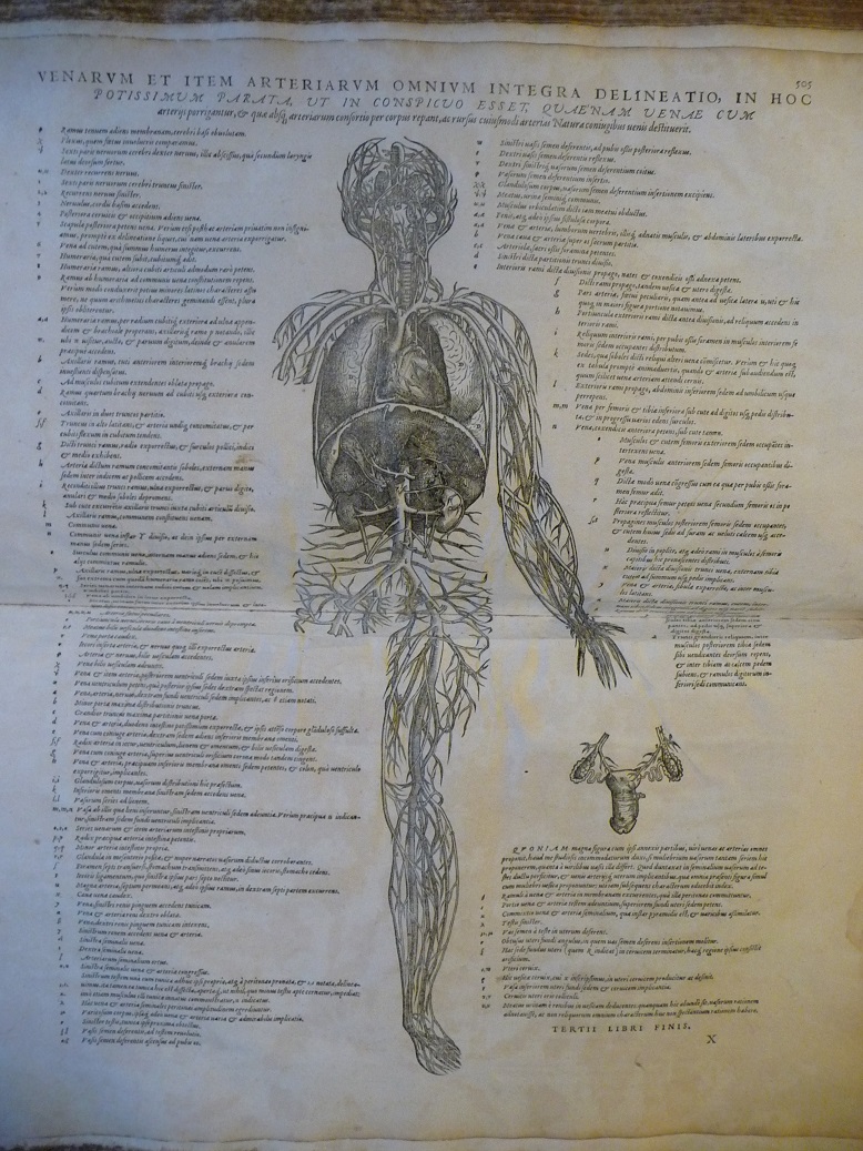 The fabric of the human body | Gonville & Caius