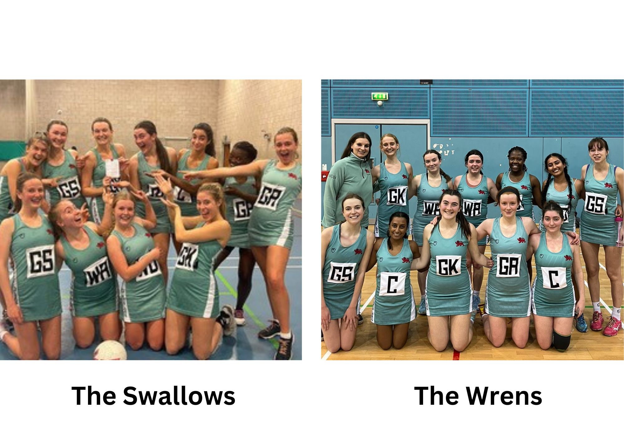 A collage of two netball teams