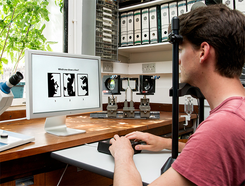 A student in the Department of Psychology prepares an experiment on face perception. The task is to identify which of the three images on the screen contains a human face. Normal people vary considerably in this ability, and the research is designed to discover the genetic bases for these individual differences. Photo by Roeland Verhallen.