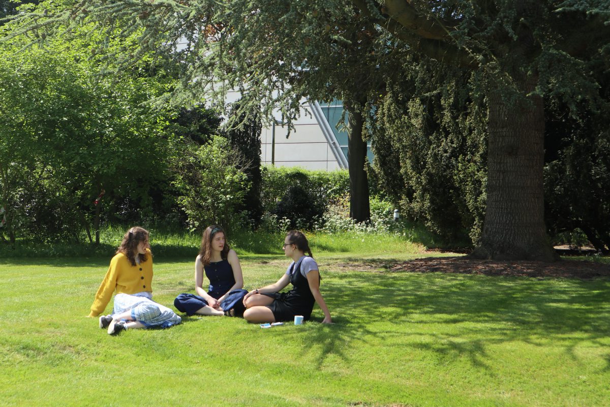 Three people sitting on a lawn in the sunshine